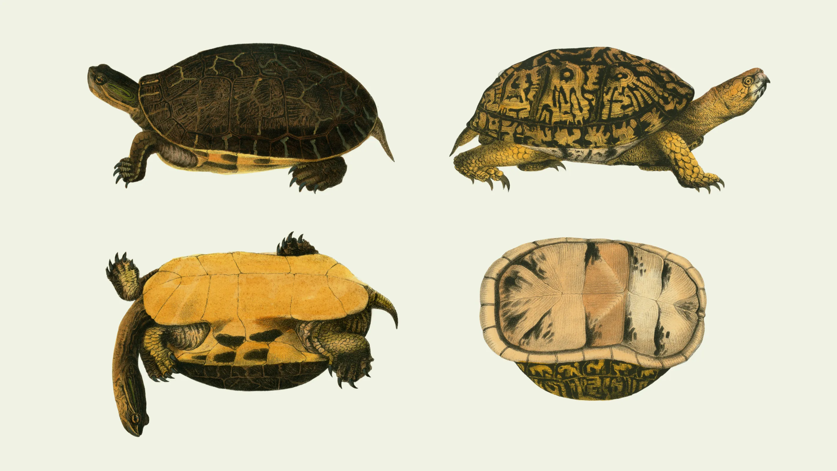 Not all feedback is created equal